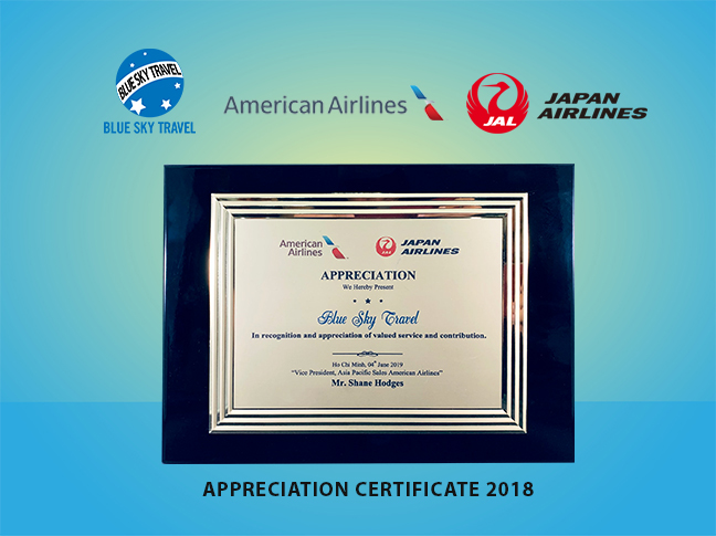 American Japane Airlines 2019
